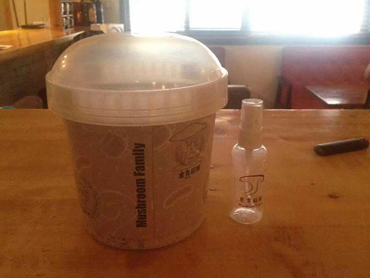 いただきものの「きのこ栽培セット」。サイケデリックな夢を見ることに！？のイメージ