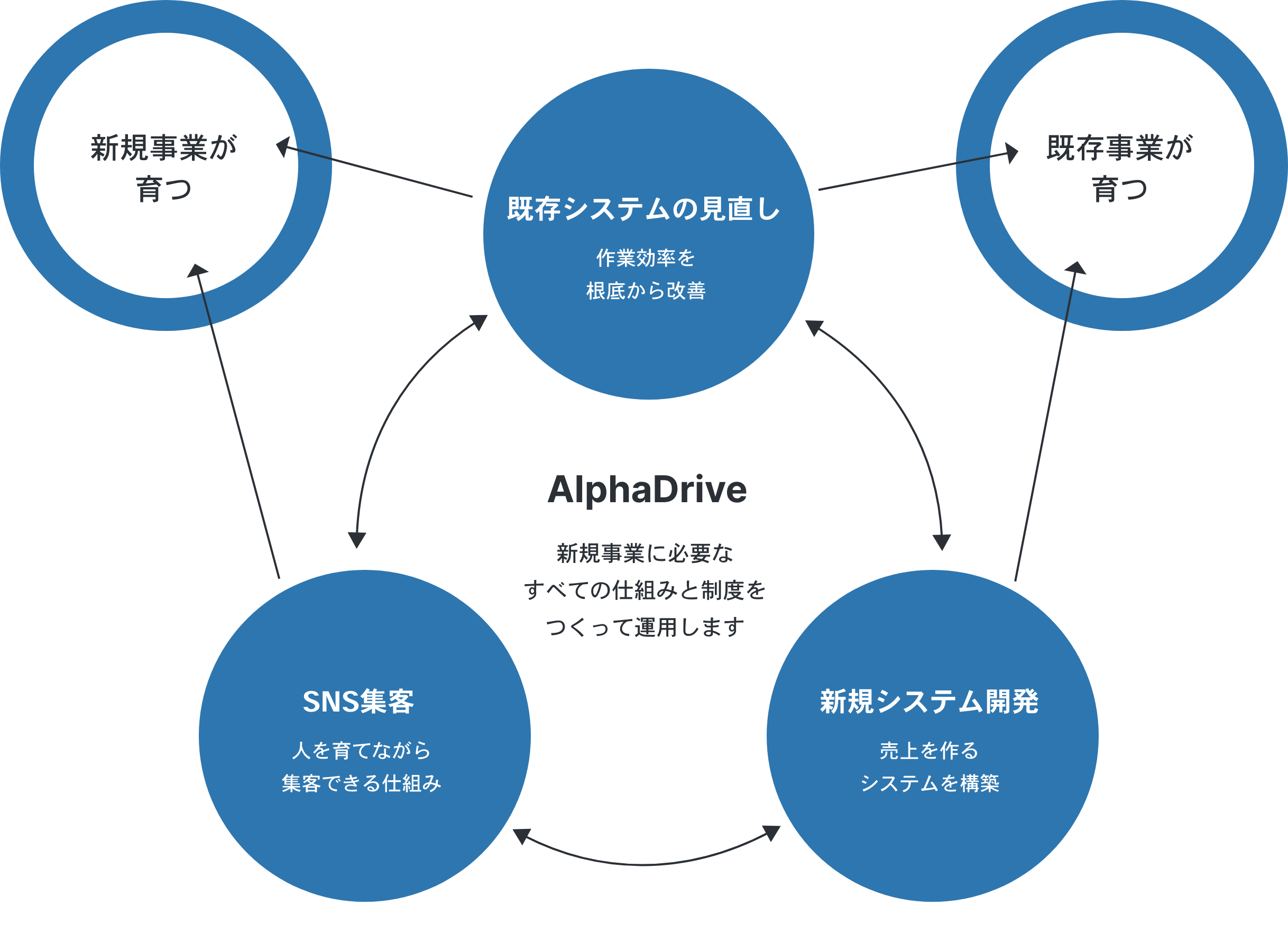 新規事業に必要なすべての仕組みと制度をつくって運用します